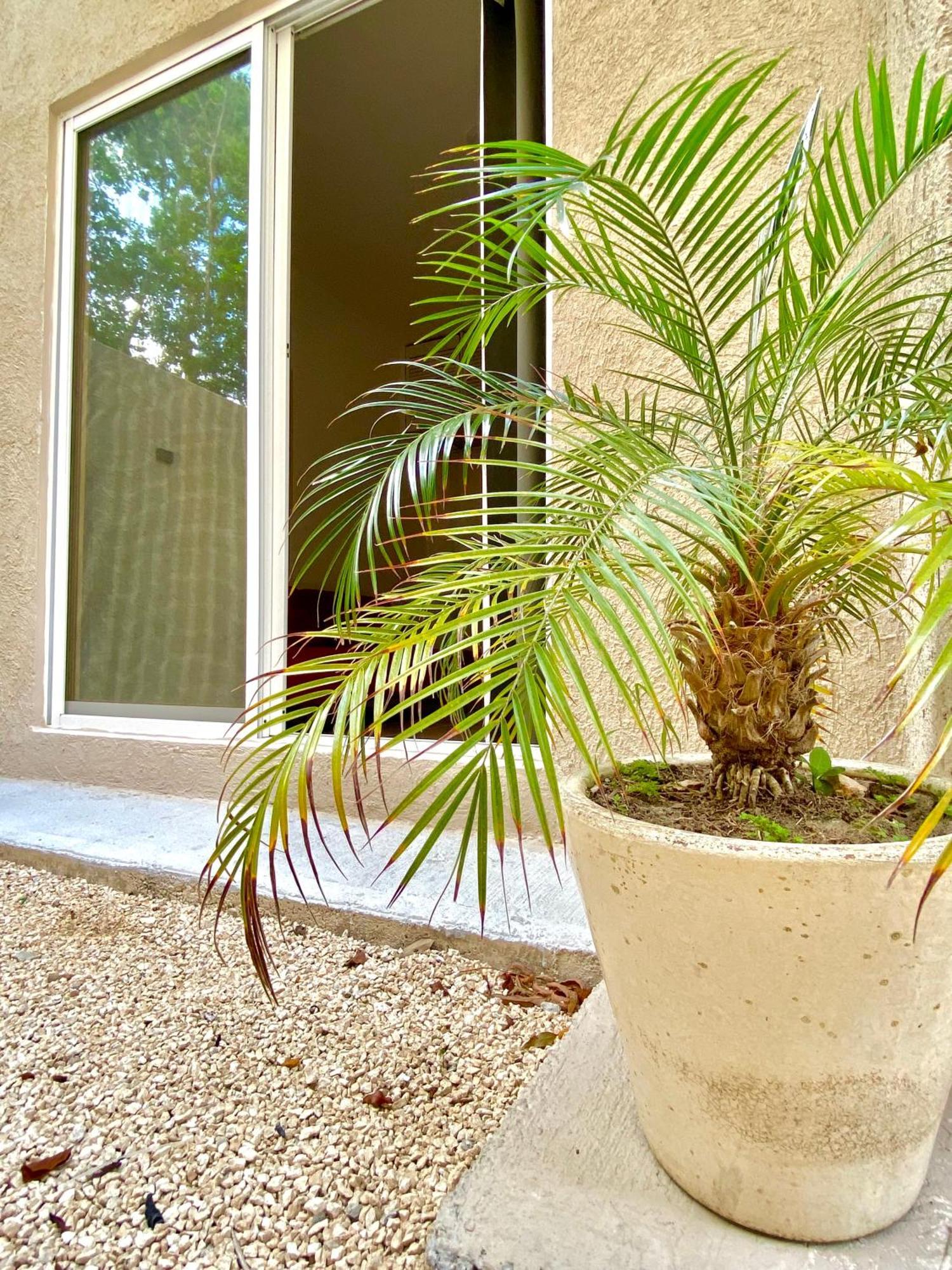 Casa Etna Leilighet Cancún Eksteriør bilde